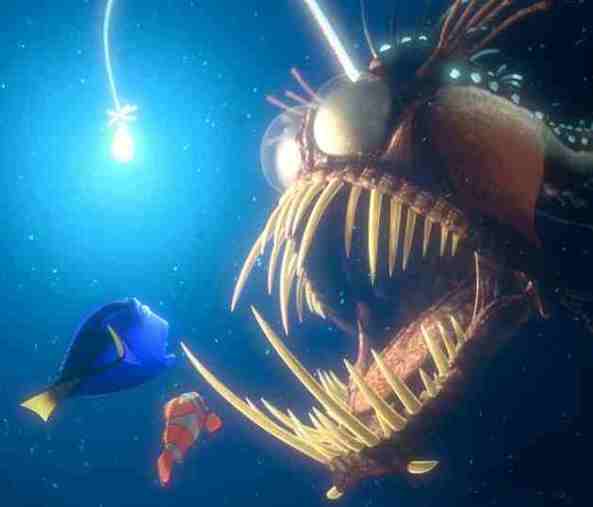 Nemo (6)