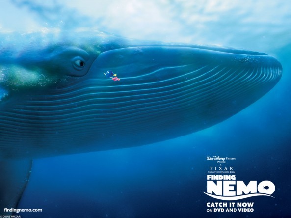 Nemo (7)